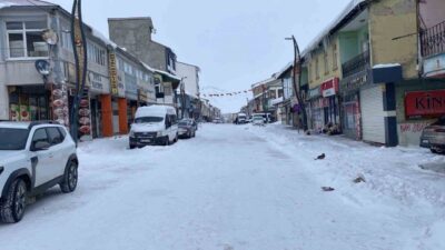 Karlıova’da kar kalınlığı 1 buçuk metreyi bulurken dondurucu soğuk nedeniyle