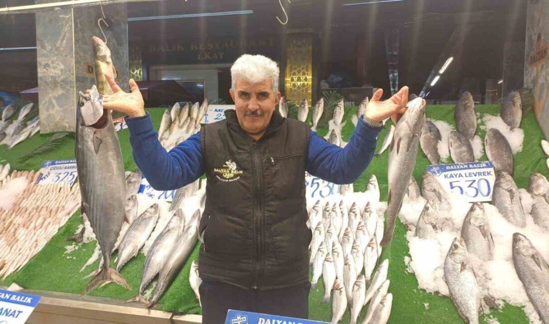 Ülke genelinde etkisini sürdüren kar yağışı, denizlerde balık bolluğuna neden