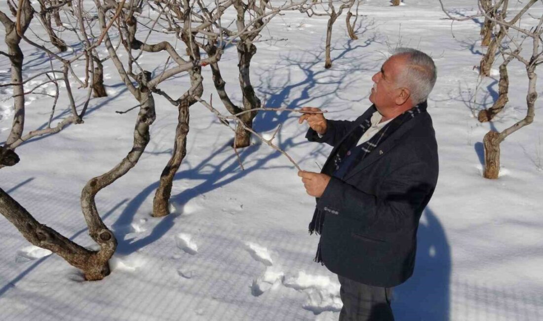 Gaziantep’te kuraklık endişesi yaşayan çiftçilerin yüzü kar yağışıyla gülerken, çiftçi