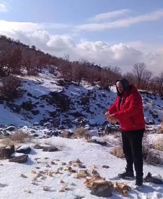 Konya’nın Karapınar ilçesinde etkili olan kar yağışı yaban hayvanlarını olumsuz