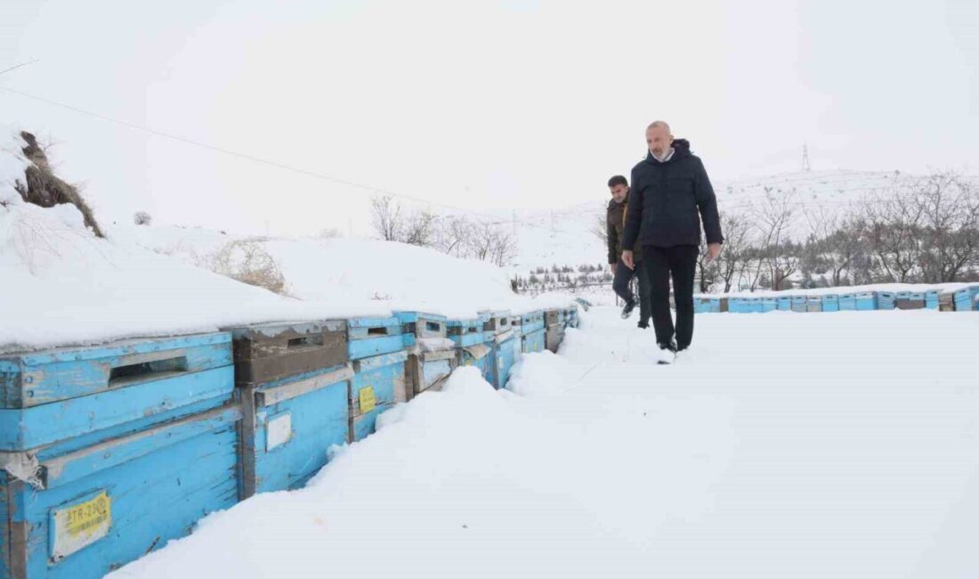 Elazığ’da yaklaşık 1 aydır süren yoğun kar yağışı ve sıcaklıkların