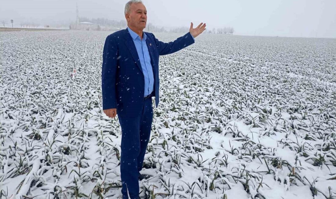Gaziantep’in Araban ilçesinde üst üste etkili olan kar yağışı AB