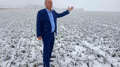 Gaziantep’in Araban ilçesinde üst üste etkili olan kar yağışı AB