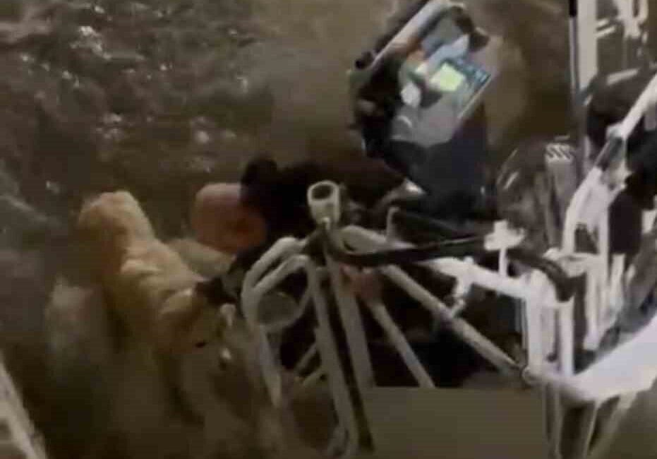 Karabük’te su kanalına düşerek mahsur kalan bir köpek, itfaiye ekiplerinin