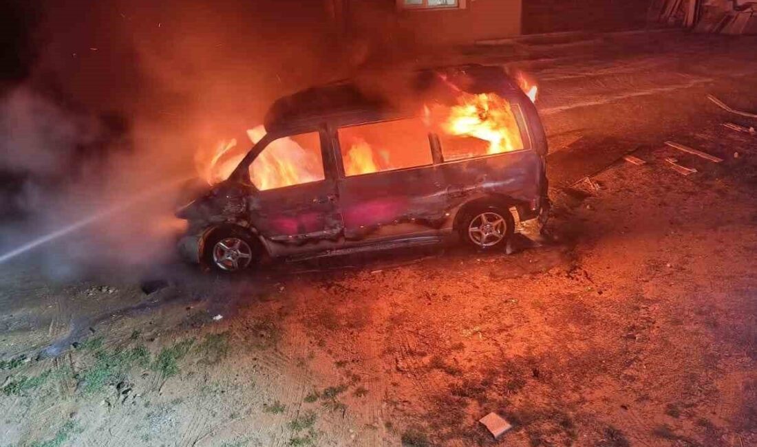 Aydın’ın Karacasu ilçesinde seyir halindeki bir ticari araçta çıkan yangın