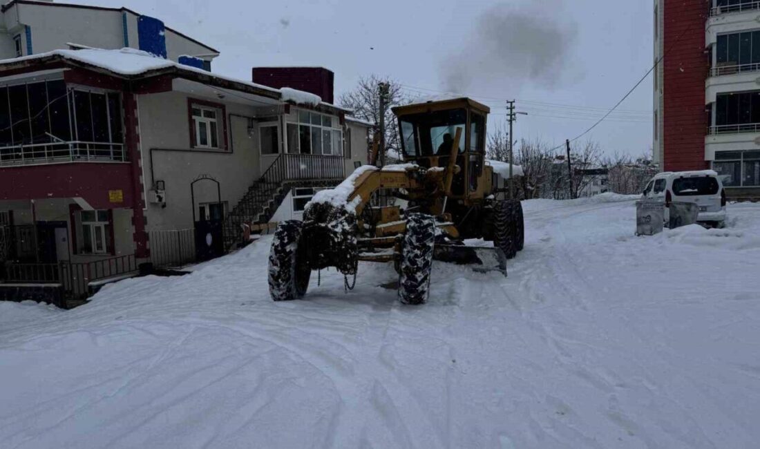 Elazığ’ın Karakoçan ilçesinde etkili olan kar yağışı sonrasında ekiplerin çalışması