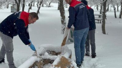 Karaman’ın Kazımkarabekir ilçesinde, etkili olan yoğun kar yağışı nedeniyle yiyecek