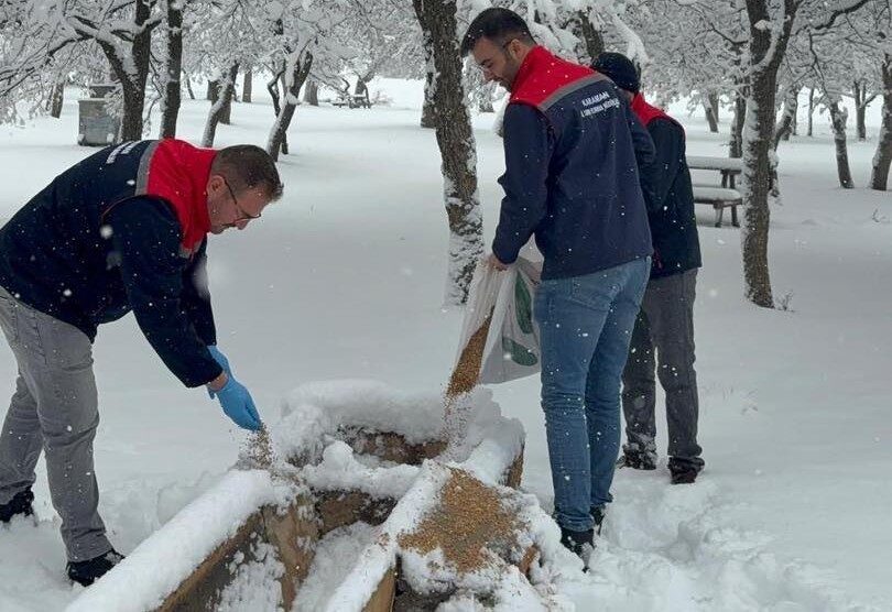 Karaman’ın Kazımkarabekir ilçesinde, etkili olan yoğun kar yağışı nedeniyle yiyecek
