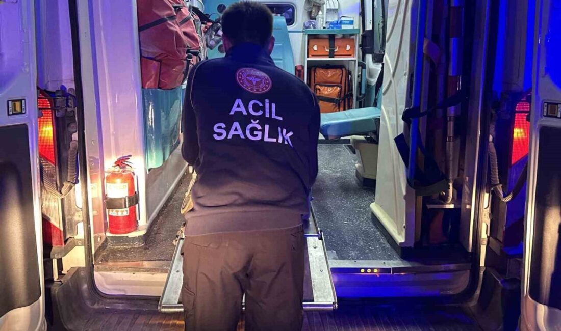 Adıyaman’da, sobadan sızan karbonmonoksit gazından zehirlenen 4 kişi hastaneye kaldırıldı.