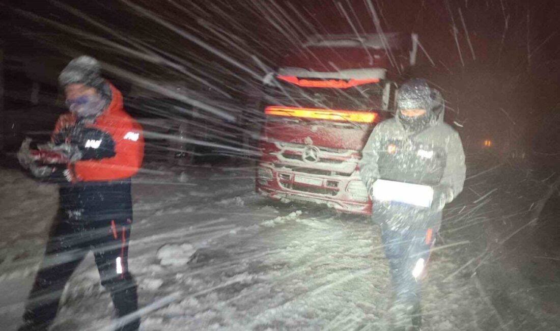 Van genelinde etkili olan yoğun kar yağışı ve olumsuz hava