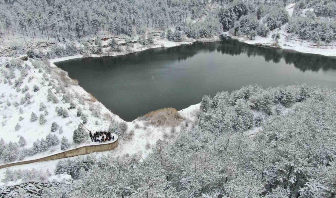 Kastamonu’da mahalli sulak alan olarak tescil edilen Tuzaklı Göleti kış