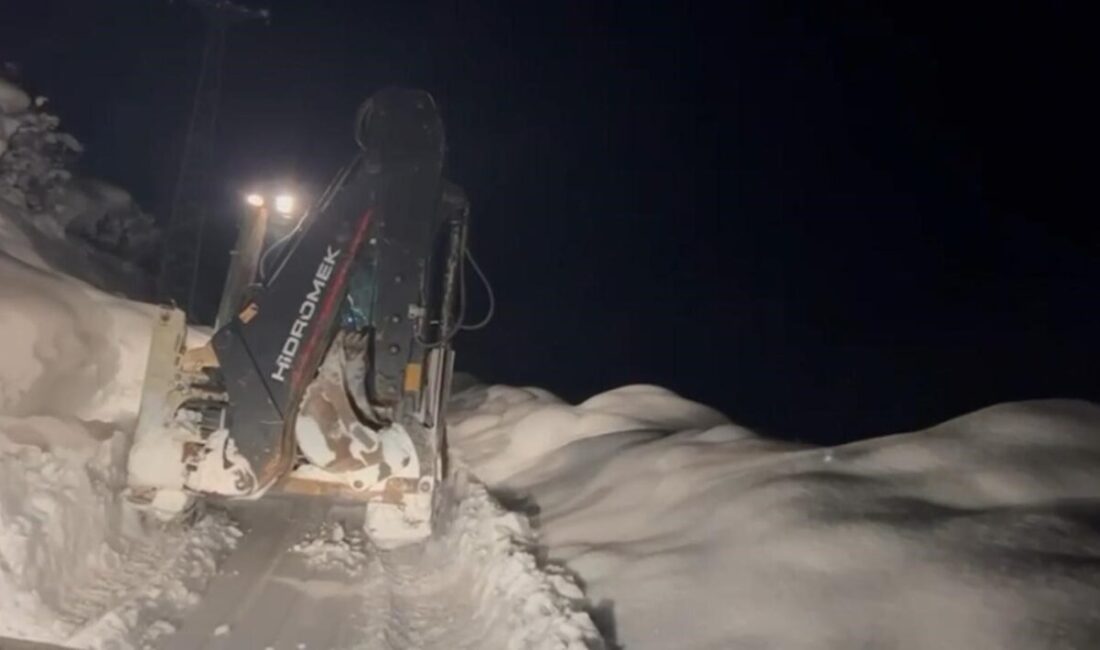 Şırnak’ta karla mücadele kararlılıkla devam ediyor. Valilik emrindeki İl Özel
