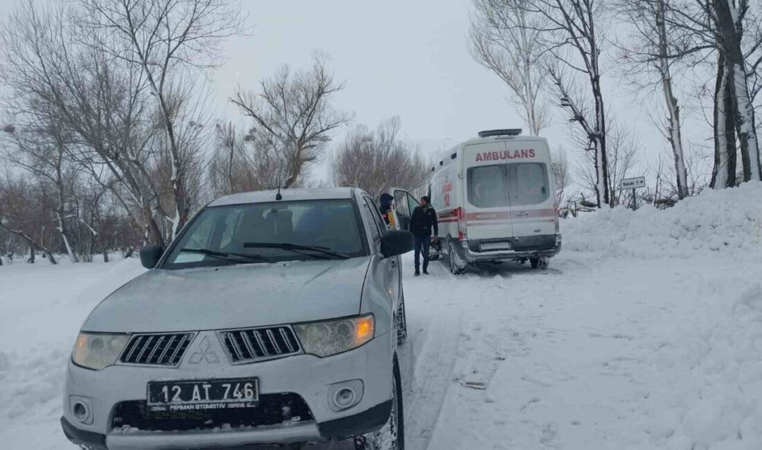 Bingöl’ün Karlıova ilçesindeki bir köyde kalp rahatsızlığı bulunan ve durumu