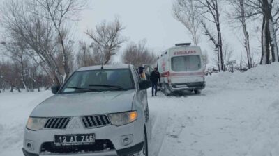 Bingöl’ün Karlıova ilçesindeki bir köyde kalp rahatsızlığı bulunan ve durumu