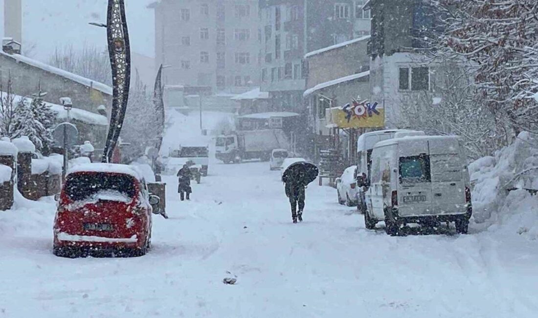 Bingöl’ün Karlıova ilçesinde kar yağışı tekrar başladı. Karlıova ilçesi, geçen