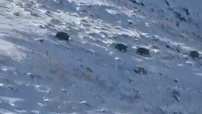 Kars’ta etkili olan sert kış şartları ve kar örtüsünün uzun