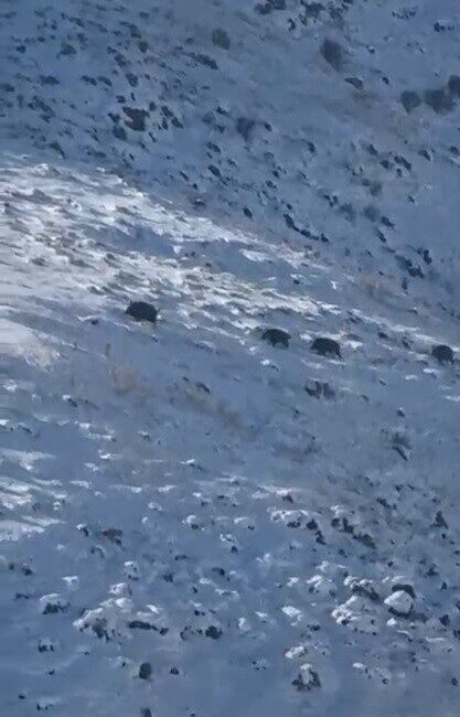 Kars’ta etkili olan sert kış şartları ve kar örtüsünün uzun