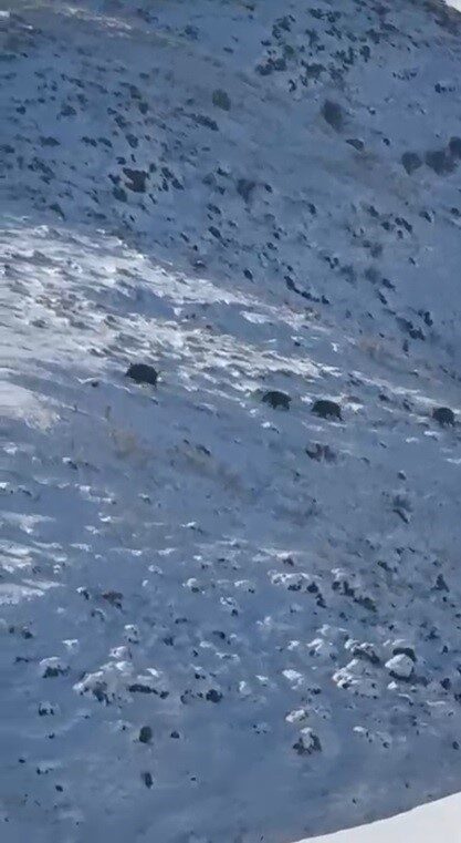 Kars’ta etkili olan sert kış şartları ve kar örtüsünün uzun