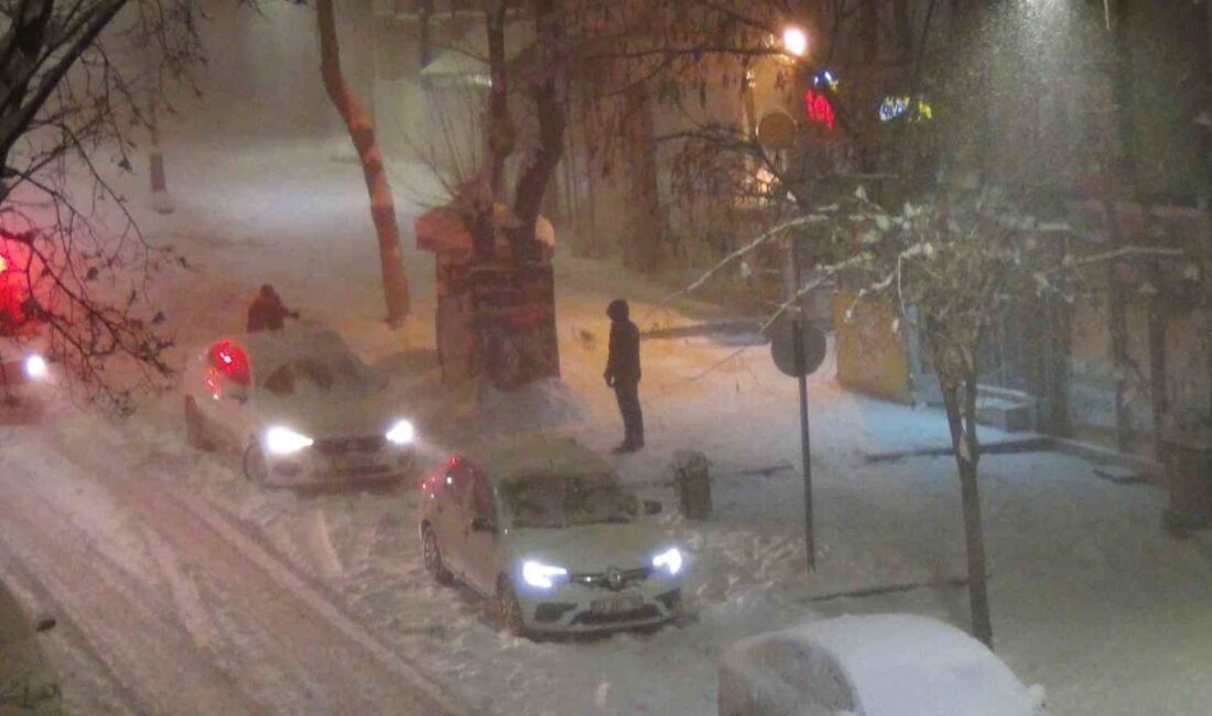 Kars genelinde etkili olan kar yağışı ve fırtına, hayatı felç