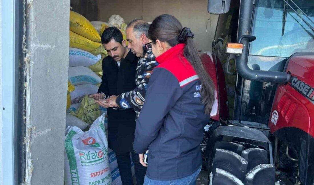 Anadolu’nun en eski buğday türlerinden biri olan ve Kars’ta yetiştirilen