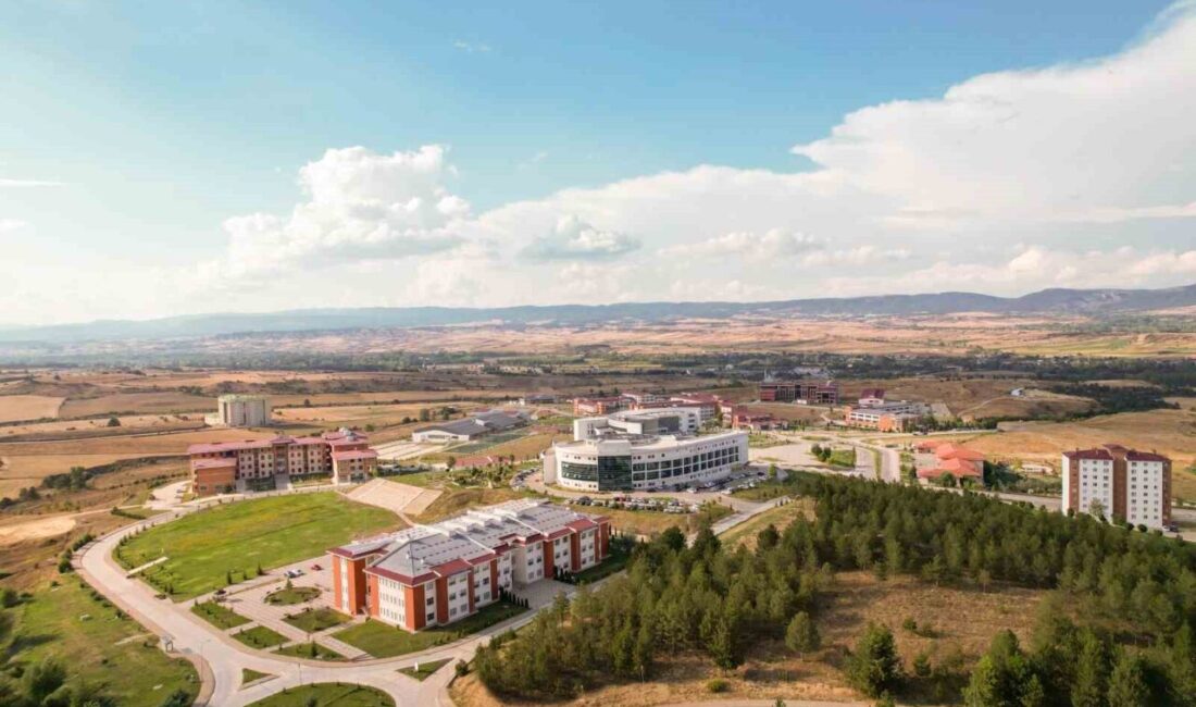 Kastamonu Üniversitesi, Times Higher Education 2026 Alan Bazlı Dünya Üniversiteleri