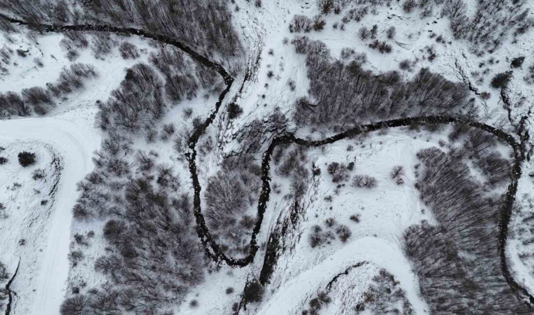 Kastamonu’nun İhsangazi ilçesinde etkili olan kar yağışı sonrasında beyaz örtüyle