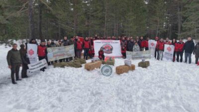 Kastamonu’da karla kaplanan doğada yiyecek yiyecek bulmakta güçlük çeken yaban