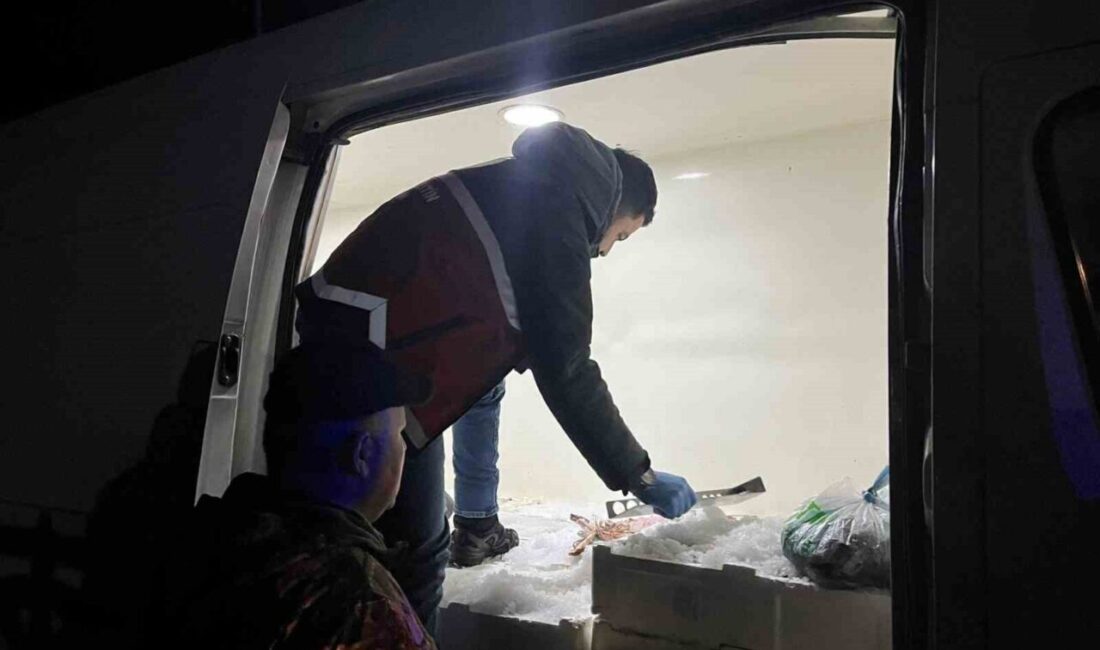 Kastamonu’nun Çatalzeytin ilçesinde usulsüz avlanan ve yasal boyutlarının altında olan