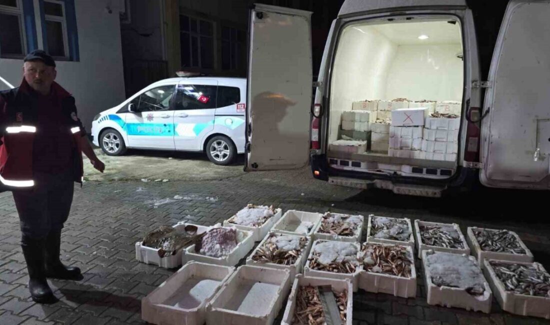 Kastamonu’nun Çatalzeytin ilçesinde yasa dışı avlanan 1,5 ton balığa el