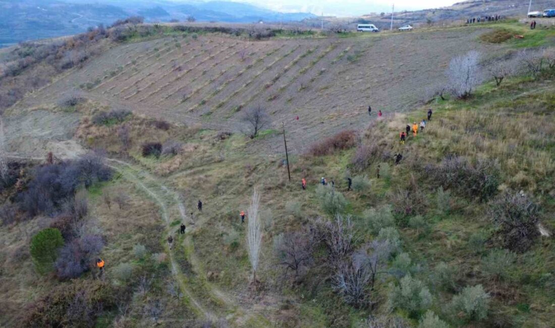 Manisa’nın Demirci ilçesinde 8 gündür kayıp olarak aranan kadının cansız