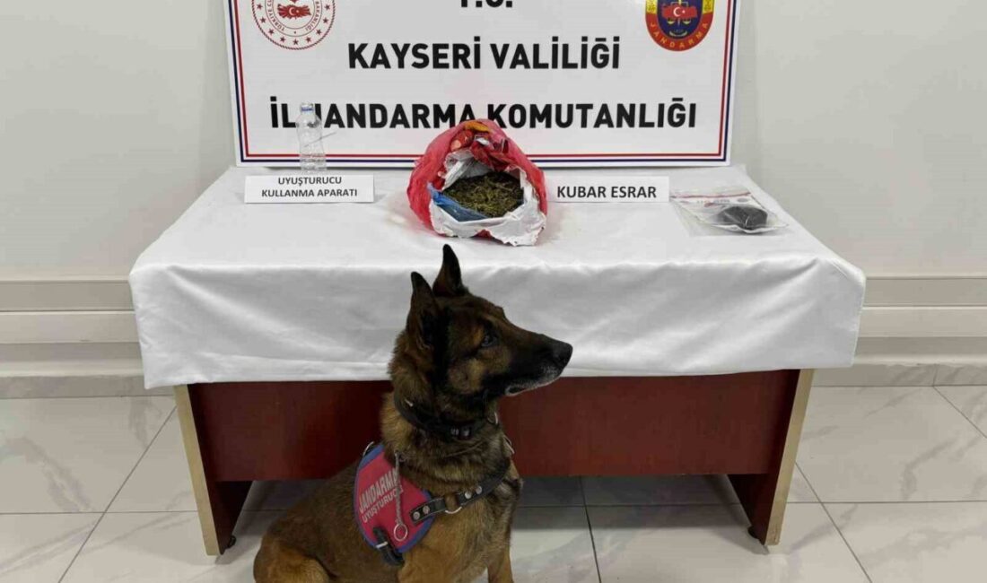 Kayseri’nin Develi ilçesinde jandarma ekipleri tarafından 4 ayrı adrese düzenlenen