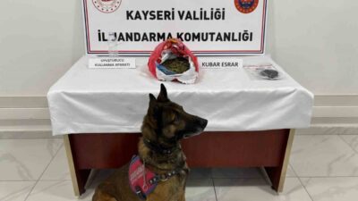 Kayseri’nin Develi ilçesinde jandarma ekipleri tarafından 4 ayrı adrese düzenlenen