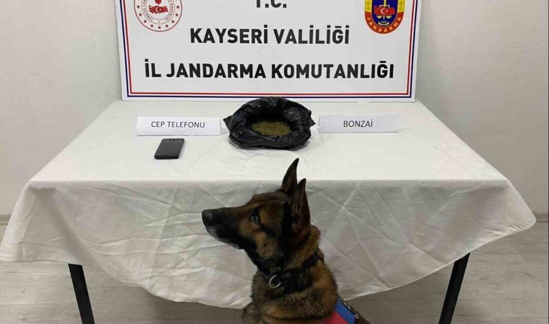 Kayseri İl Jandarma Komutanlığı ekiplerince yapılan çalışmalarda 515 gram uyuşturucu