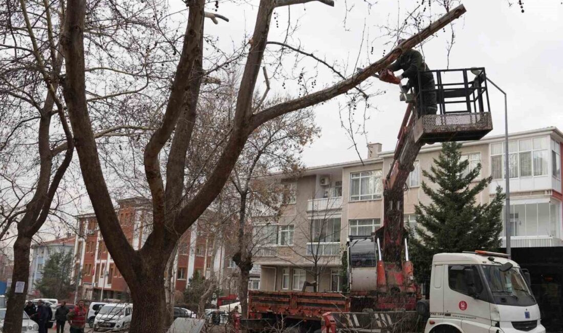 Keçiören Belediyesi tarafından park ve yeşil alanlardaki bakım çalışmaları kış