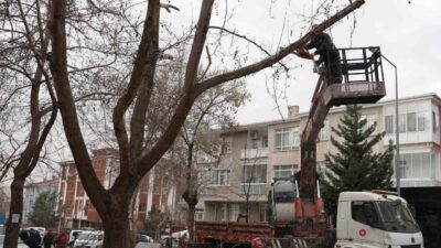 Keçiören Belediyesi tarafından park ve yeşil alanlardaki bakım çalışmaları kış