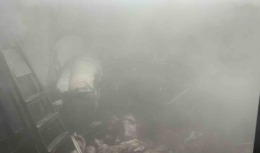 Eskişehir’de, iddiaya göre kedilerin ısınması için bir sitenin zemin katında