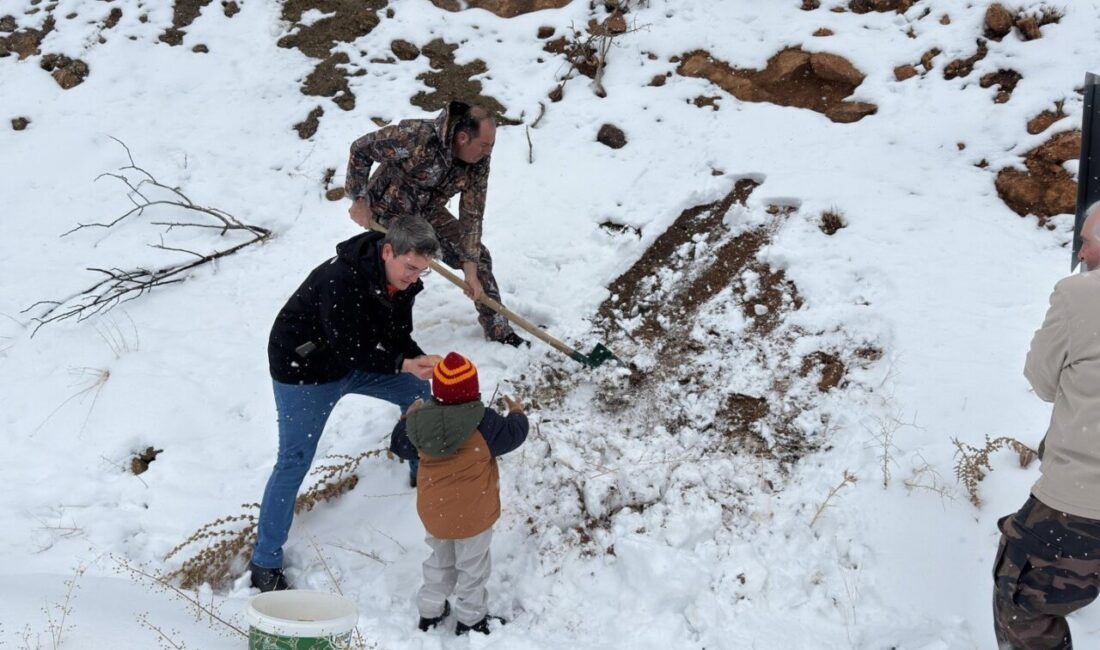 Erzincan’ın Kemaliye ilçesinde etkili olan yoğun kar yağışı, yaban hayatını