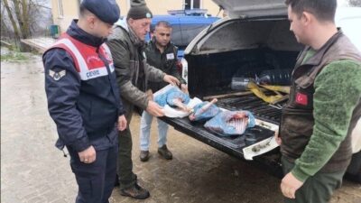 Kırklareli’de yasa dışı karaca avladığı belirlenen bir kişiye 50 bin