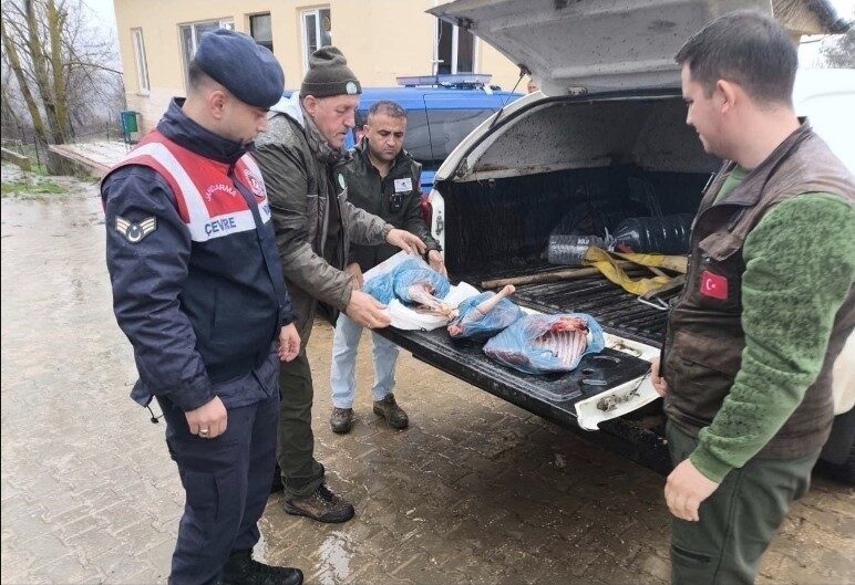 Kırklareli’de yasa dışı karaca avladığı belirlenen bir kişiye 50 bin