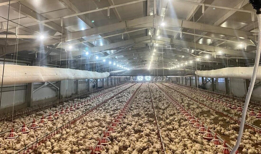 Samsun’da Kırsal Kalkınma Yatırımlarının Desteklenmesi Programı (KKYDP) kapsamında 2025 yılında