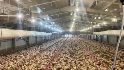 Samsun’da Kırsal Kalkınma Yatırımlarının Desteklenmesi Programı (KKYDP) kapsamında 2025 yılında