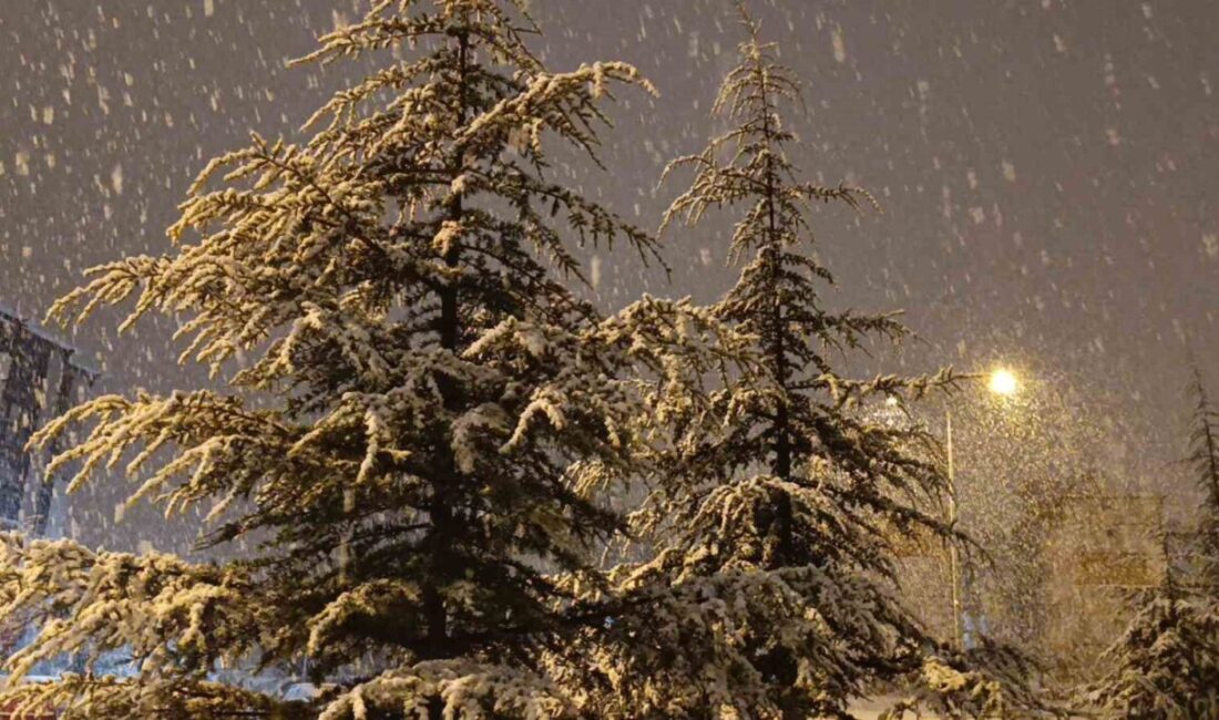 Kırşehir’de gece saatlerinde kar yağışı başladı. Uzun süredir beklenen kar