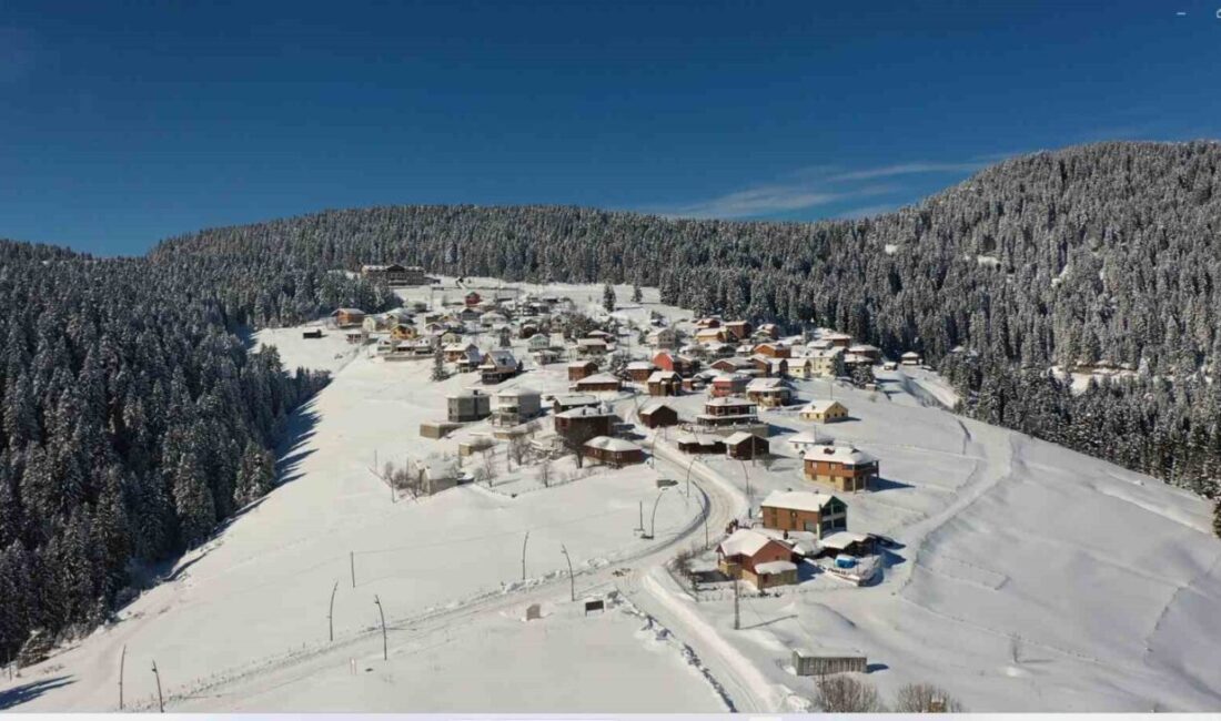 Giresun’da etkili olan kar yağışının ardından, yaylalar arası bağlantı yolları