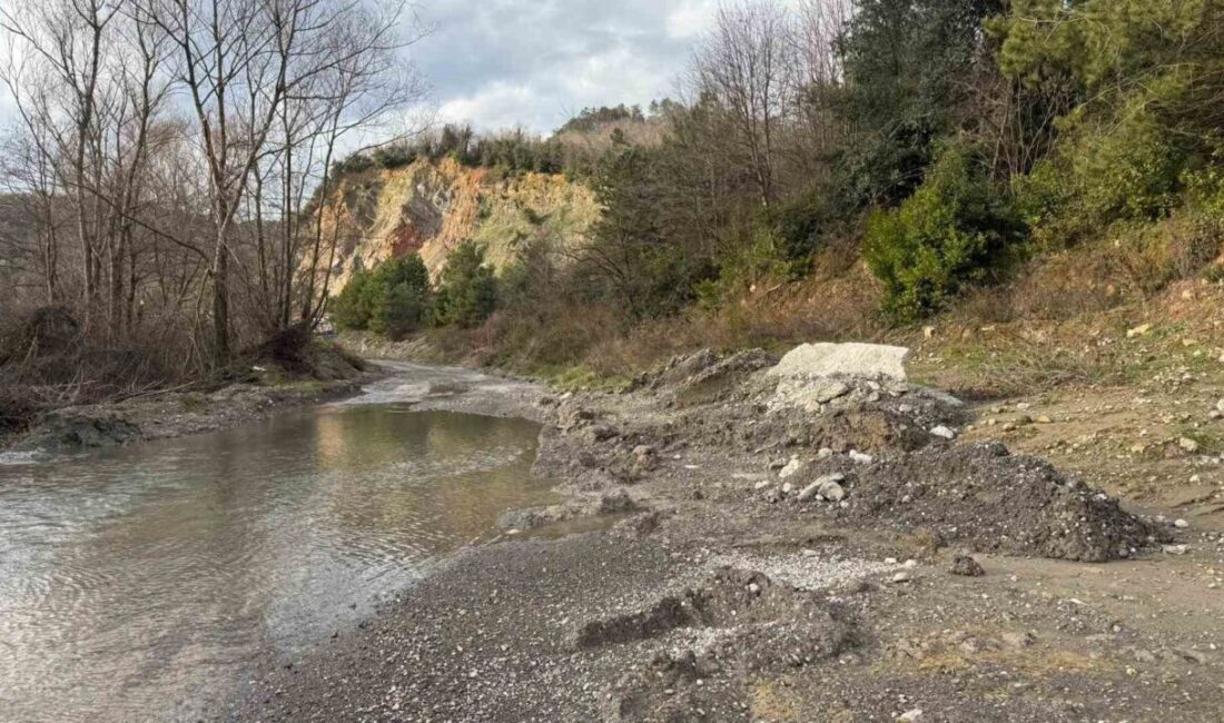 Zonguldak’ın Ereğli ilçesine bağlı Kıyıcak Mahallesi Kavaklıdere Sokak’ta yaşayan vatandaşlar,