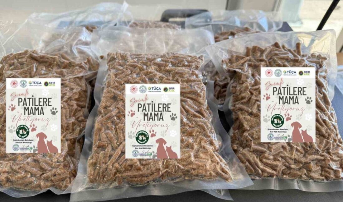 Kızılcahamam Belediyesi Sıfır Atık Müdürlüğü, sürdürülebilir çevre vizyonu ve hayvan