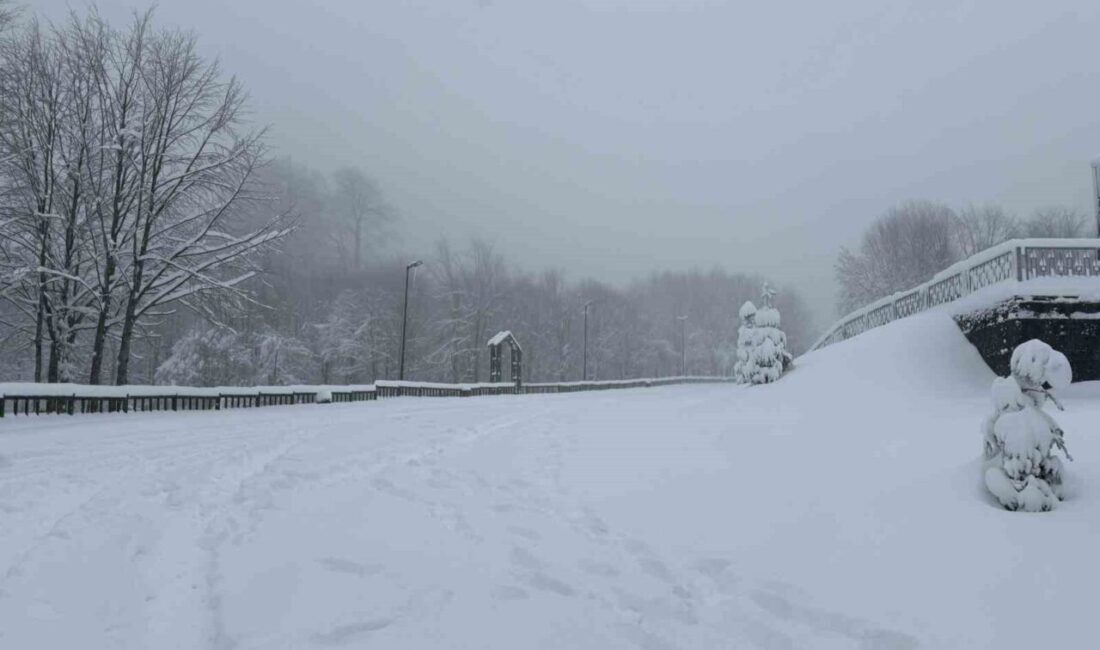 Meteorolojinin uyarılarının ardından Kocaeli’nin yüksek kesimlerinde kar yağışı etkili oluyor.