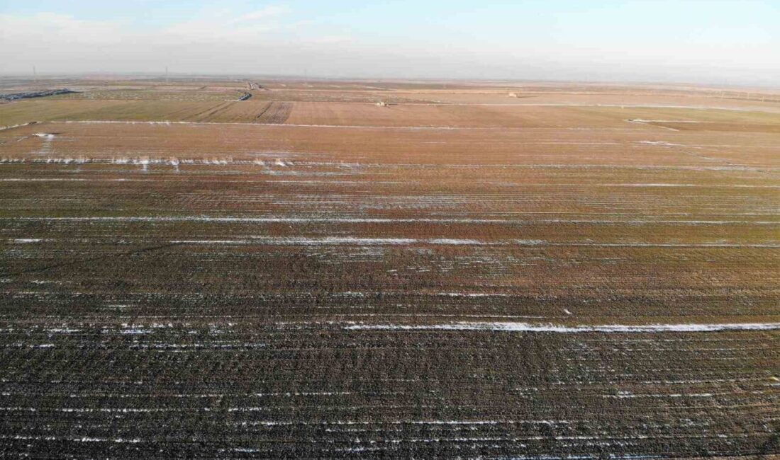 Konya’da kar yağışının bazı ilçelerde etkili olmasına rağmen şehir merkezine
