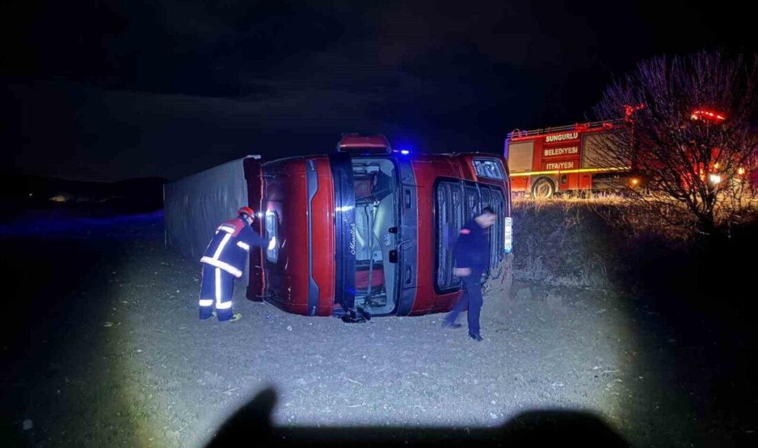 Çorum’un Sungurlu ilçesinde yola aniden çıkan köpeğe çarpmamak için sürücünün