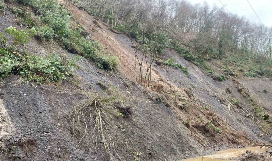Düzce’de geçtiğimiz hafta 3 gün arayla yaşanan heyelanla birlikte köy