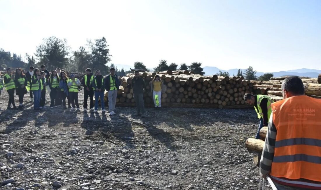 Muğla’nın Köyceğiz ilçesinde eğitimine devam eden Meslek Yüksek Okulu Ormancılık